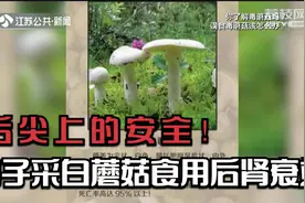 当心舌尖上的安全!男子采6朵白蘑菇食用后肾衰竭,鹅肝菌可致命!视频封面