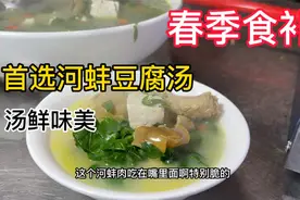 河蚌怎么宰杀处理？大厨教你“河蚌豆腐汤”家常做法，汤鲜味美！视频封面