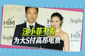 大S豪宅用电量曝光，汪小菲不爽支付高昂电费，还要去台北接孩子视频封面