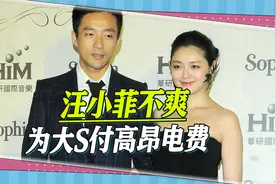 大S豪宅用电量曝光，汪小菲不爽支付高昂电费，还要去台北接孩子视频封面