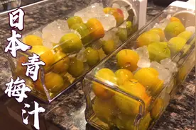 做日本家庭大人小孩爱喝的青梅汁，带苦力去超市给他买拖鞋袜子视频封面