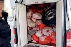 男子跨省偷运2吨多腐烂猪肉 交警打开车厢恶臭阵阵视频封面