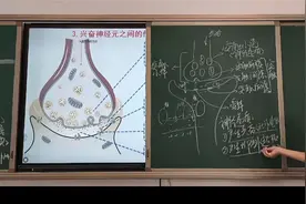 高二生物线上课-神经兴奋在神经元之间的传递03视频封面