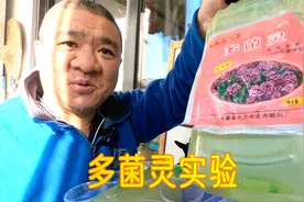 这种“赠品多菌灵”杀菌效果还不如“自来水”？“国光多菌灵”呢视频封面