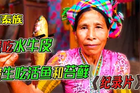 纪录片：神秘的越南泰族，酸牛皮直接啃，活鱼拌菜在肚子里游泳！视频封面