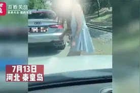 不领情！女子在秦皇岛野生动物园禁下车区域喂鹿 被踢掉食物视频封面