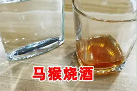 全网第一个在家酿酒酿造出马猴烧酒，酒精度55度，味道还不错视频封面