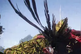 卧龙苍天陨落-40级奇术技能开启方法及挑战攻略