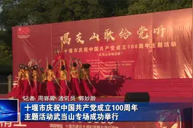 十堰市庆祝中国共产党成立100周年  主题活动武当山专场成功举行视频封面