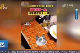 6个女孩自助餐吃154只螃蟹，蟹壳整齐铺满一整桌，老板直接傻眼了视频封面
