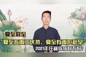 俗语：“夏至无雨三伏热，夏至有雨应秋早”啥意思？今年收成如何视频封面