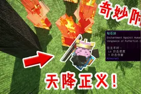 我的世界：PVP专属反人类附魔！盾牌变不死图腾，还能凤凰俯冲！视频封面