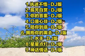 9首车载DJ执迷不悟-孤芳自赏-你的答案-口是心非-陪你到底-手水