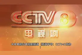 CCTV-8电视剧频道视频封面