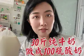 内蒙纯正酸奶咋做？30斤纯牛奶能做100瓶酸奶，利润到底有多大？