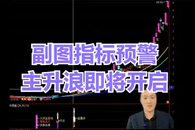副图指标预警主升浪即将开启视频封面