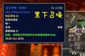 怀旧服盗贼德鲁伊双刷黑下T0.5BOSS莫尔灰蹄活力神像视频封面