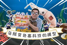 乌贼皮肤很神奇，变起色来有神技！乌贼的变色原理来看模型视频封面