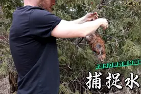 胡子打野：捕获巨型水鼠的简单生存陷阱视频封面