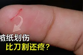 一张纸的威力有多大？为何手指被纸划伤，比刀割还要疼？视频封面
