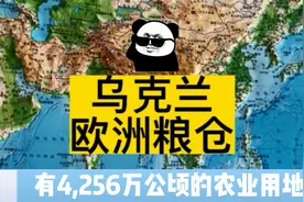欧洲粮仓乌克兰产粮连我国粮食总产量的14%都不到？视频封面