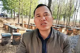 养蜜蜂是暴利行业吗？养蜂大哥来告诉你真实利润，是实话吧