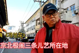北京北极阁三条32号中国儿童艺术剧院，打小儿就爰看《马兰花》视频封面
