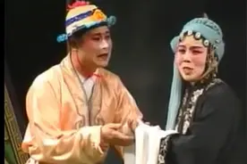 湖南花鼓戏《兰寄子扳砖》全剧 林正春 贾霞玲视频封面