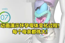 动画演示：怀孕后母体每周的变化，每个母亲都伟大！视频封面