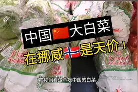 挪威物价全球最高，超市里竟还卖中国大白菜，四川菜，青岛啤酒？视频封面