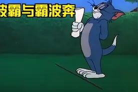 猫和老鼠之奔波霸与霸波奔视频封面