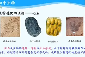 海韵教育丨初中生物　人教版　8下　011．生物进化的历程视频封面
