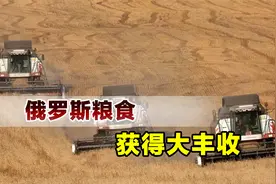 只卖给友好国家，俄罗斯小麦收成创纪录，欧洲人的日子将更难过视频封面