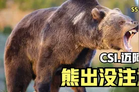 男人打猎却被棕熊吃掉，牵出脱衣舞女被害案《CSI迈阿密》视频封面