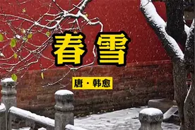 诵读《春雪》，白雪却嫌春色晚，故穿庭树作飞花。视频封面
