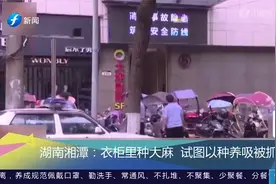 男子在衣柜里种东西，试图“自给自足”，被警方抓获受重罚！视频封面