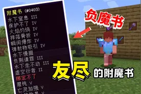 我的世界：附魔书全都是负面属性？友尽模组快收藏！