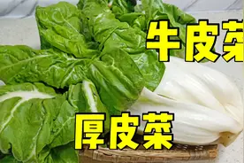 春日美食：牛皮菜又叫厚皮菜，四川人喜欢这样做，软烂入味下饭视频封面