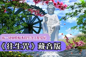 《往生咒》拔一切业障根本得生净土陀罗尼经视频封面