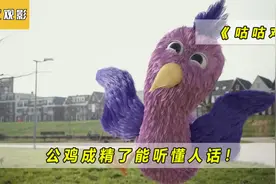 男孩在路边捡到一只公鸡，它竟然开口说话了！视频封面