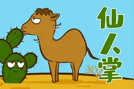 骆驼生吞仙人掌为什么不会觉得扎嘴？