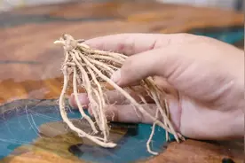 阳台种什么有机蔬菜？园艺师教你，种芦笋苗，四季可种反复采收视频封面