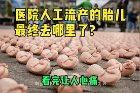 医院人工流产的胎儿遗体，最后都去到哪了？看完让人心疼！视频封面