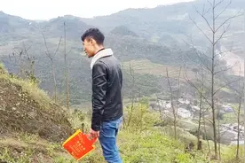 清明节到了，去地里摘一点清明草做粑粑吃，你认识清明草吗？视频封面