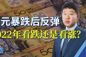 澳元暴跌后反弹，2022年看跌还是看涨？视频封面