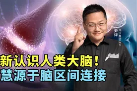 重新认识人类大脑！智慧源于脑区间连接视频封面