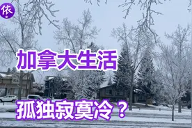 在加拿大生活，真的是孤独寂寞冷？视频封面