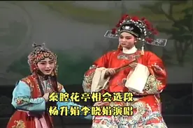 秦腔《花亭相会》全本（梅花奖获得者杨升娟李晓娟演唱）视频封面