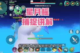 周姐解说：创造与魔法，星月鳐捕捉讲解！