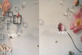 50岁妈妈帮忙装修新房，看到风格女儿当场崩溃：房子都不想要了视频封面